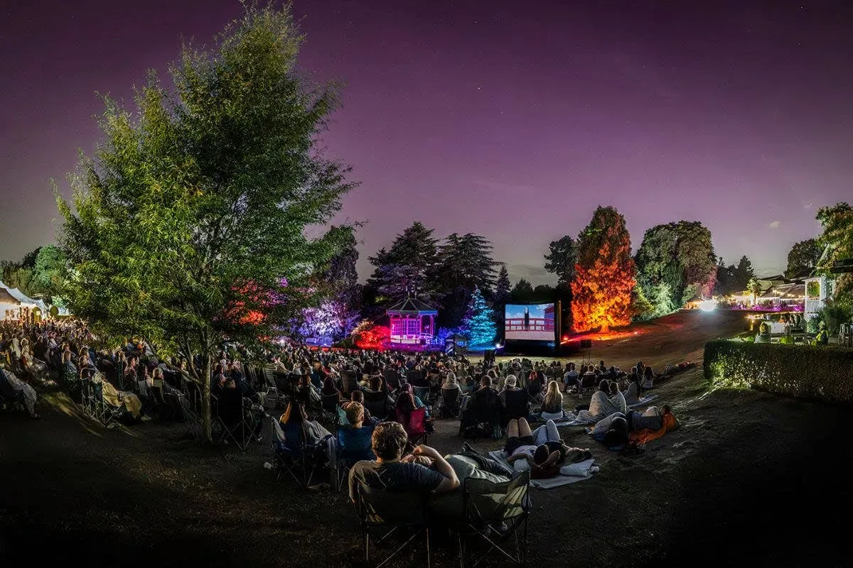 An outdoor cinema audience watching a film in a colourful garden at night.