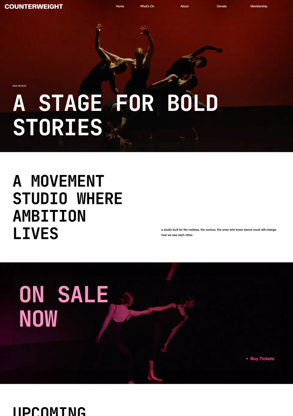 Contemporary dance company website template screenshot